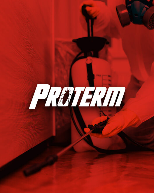 Proterm website